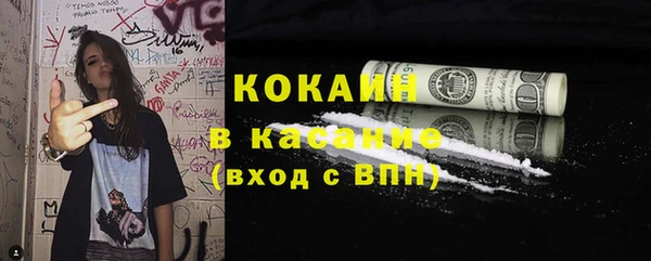 сатива Бородино