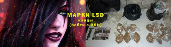 сатива Бородино