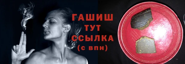 сатива Бородино