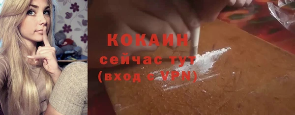 сатива Бородино