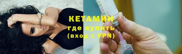 сатива Бородино