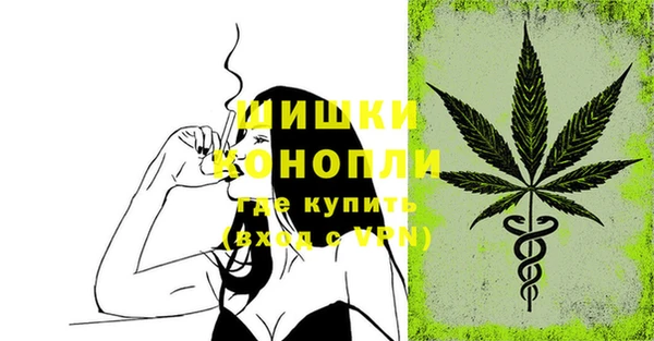 сатива Бородино
