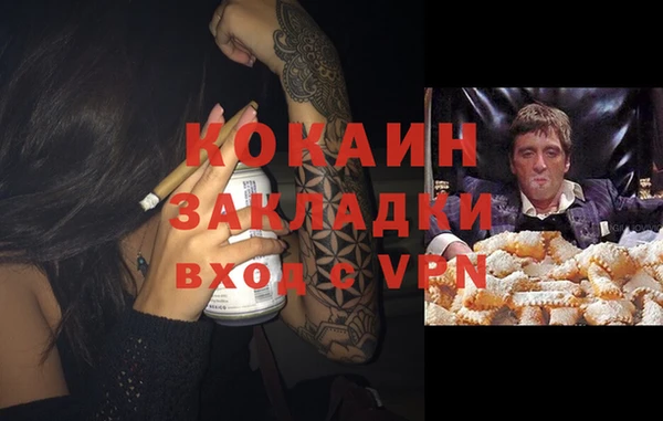сатива Бородино