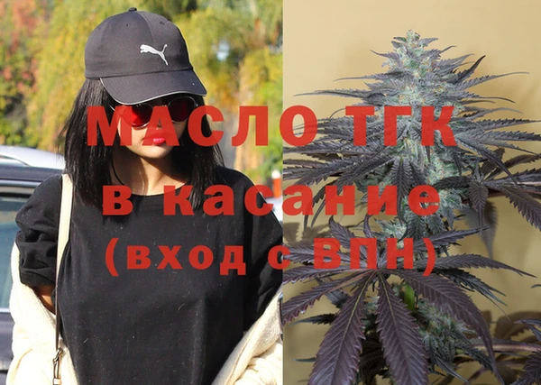 сатива Бородино