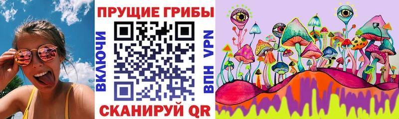 дарнет шоп  Новоульяновск  Псилоцибиновые грибы MAGIC MUSHROOMS 